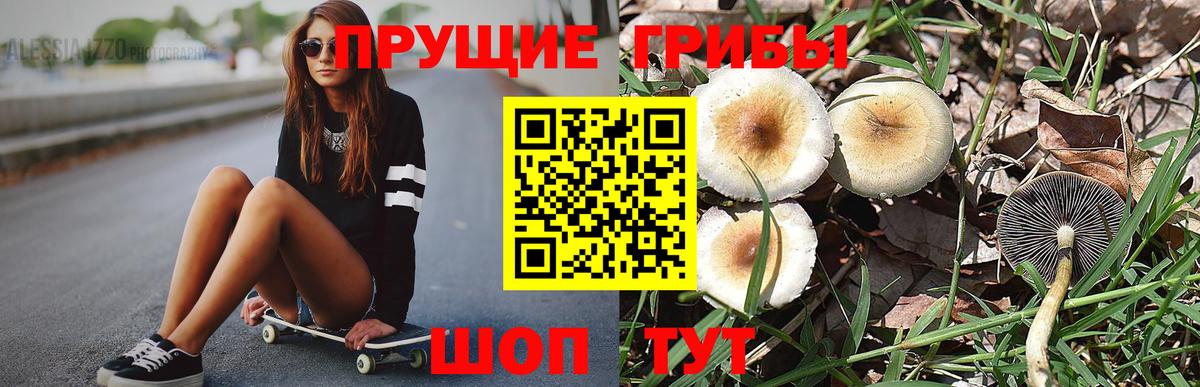 Галлюциногенные грибы мухоморы Рузаевка
