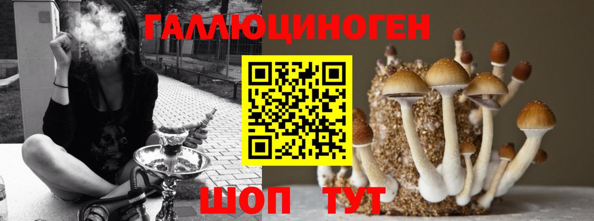 Бошки Шишки Рузаевка